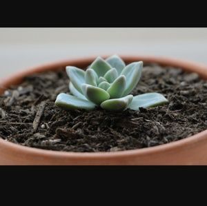 FEEL FREE TO USE THE OFFER BUTTON ON ANY ITEM! 😊